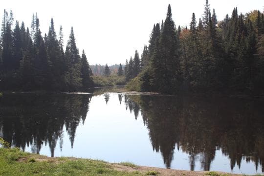 Mollidgewock State Park campground