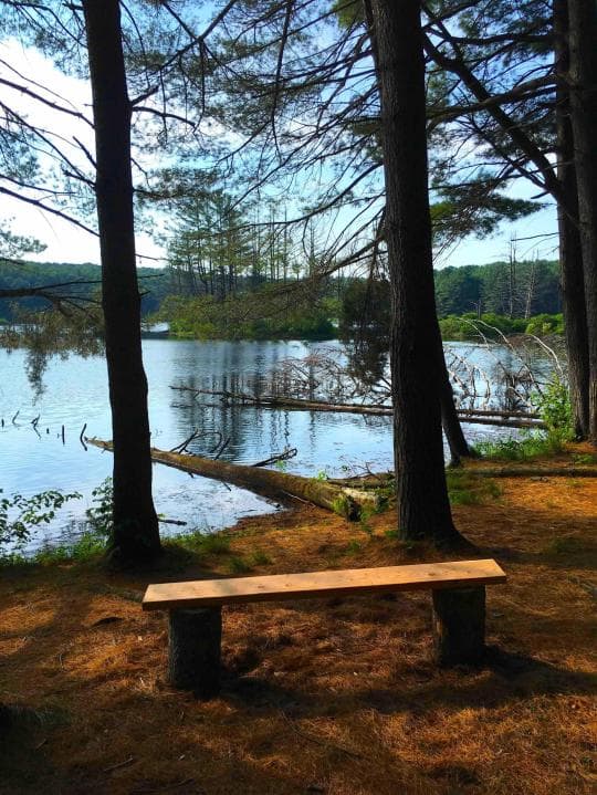 Stoney Pond State Forest Camping Area campground