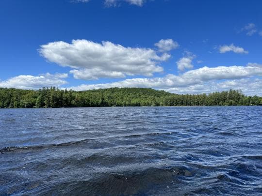 BROWN TRACT POND CAMPGROUND campground