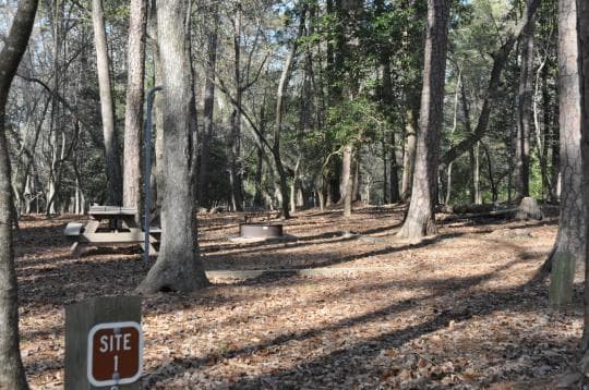 Morrow Mountain State Park campground