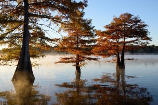 Sequoyah State Park campground