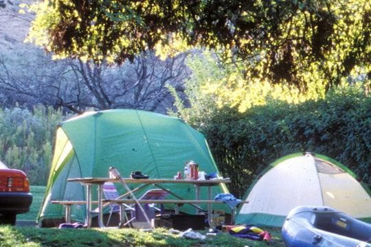 Deschutes River State Recreation Area campground