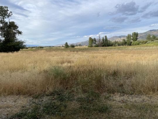 Goose Lake State Recreation Area campground