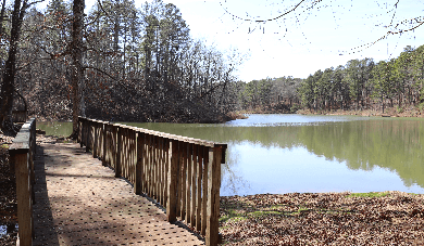 Legion State Park campground