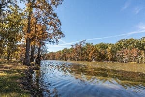 Leroy Percy State Park campground