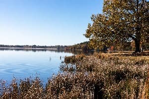 Trace State Park campground