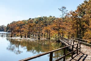 Wall Doxey State Park campground