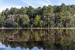Roosevelt State Park campground