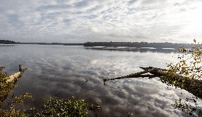 Percy Quin State Park campground