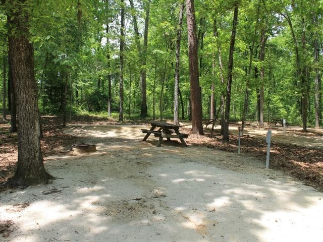 Barnwell campground