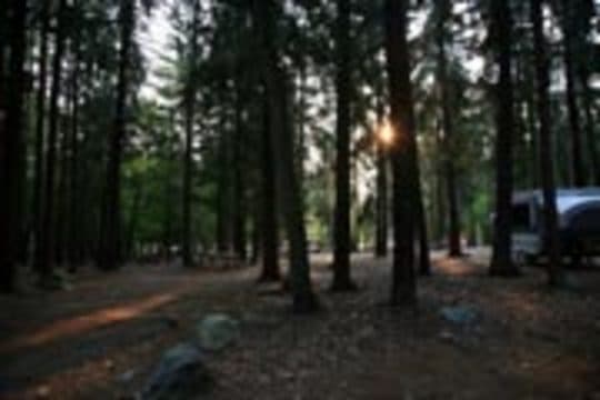 Burlingame State Campground campground