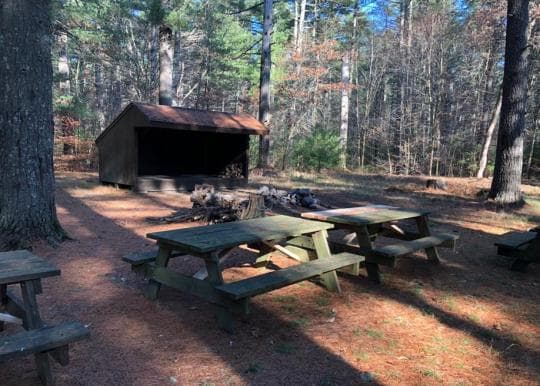Frosty Hollow Shelter Camping Area campground