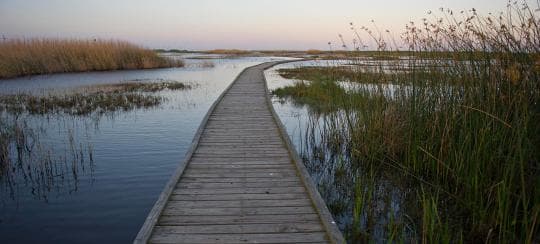 Sea Rim State Park campground
