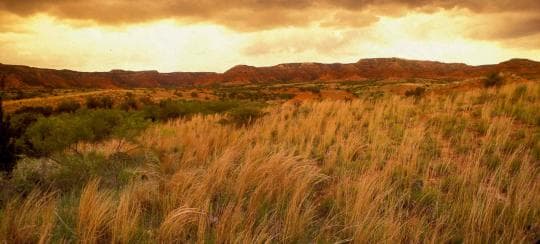 Caprock Canyons State Park and Trailway campground