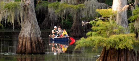 Caddo Lake State Park campground